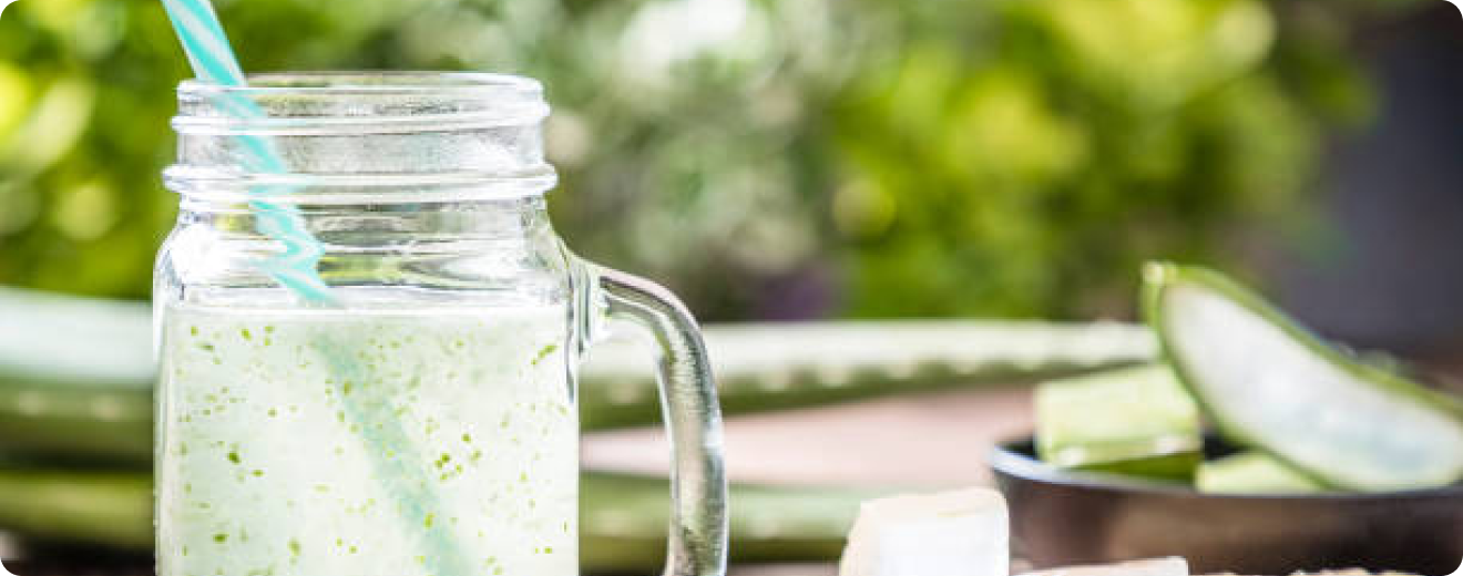 Herb Recipes